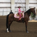 Lueck Stables, LLC - Horse Training