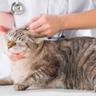 Banfield Pet Hospital
