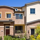 Levanto Townhome Community - Real Estate Management