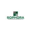 Sophora Landscaping and Design gallery