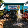 Tampa Bay Ponds & Rocks gallery