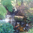 Complete Ponds - Lake & Pond Construction