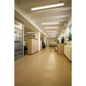 Gallery Image Number 3