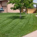 The Lawn Boss Lawn Care - Landscaping & Lawn Services
