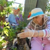 Saguaro Ranch Luxury Assisted Living gallery