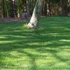 Mason Valley Turf-Sod gallery