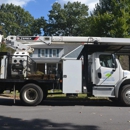 Smith's Tree Care - Tree Service