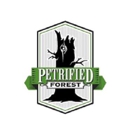 Petrified Forest Boise