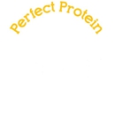 CRKT-Perfect Protein - Health & Diet Food Products