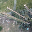 Kreft Tree Service - Tree Service