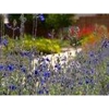 Waterwise Landscapes gallery