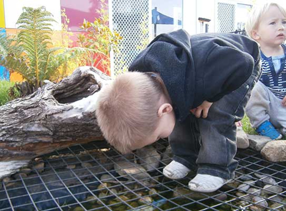 Discovery Early Learning Centres - Burnie, TAS