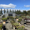 West Coast Nursery gallery