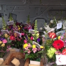 Beaumont Florist - Flowers, Plants & Trees-Silk, Dried, Etc.-Retail