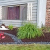 Alejandro's Landscaping LLC gallery