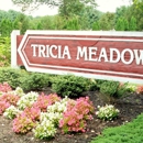Tricia Meadows - Real Estate Agents