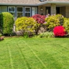 Bel Air Lawn Service gallery