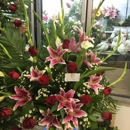 Bees Flowers - Florists