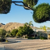 The Phoenician Tavern gallery
