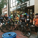 Twisted Cog - Bicycle Shops