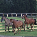 Millhaven Horse Farm Derwood - Horse Boarding