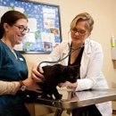 Antigo Veterinary Clinic - Veterinarians