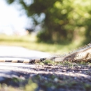 Groen's Wildlife Services - Pest Control Services