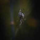Good Neighbor Pest Services - Pest Control Equipment & Supplies