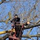 Garden of Eden Landscaping - Tree Service