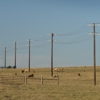 Guadalupe Valley Electric gallery