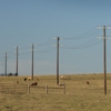 GVEC Electrician Services gallery