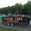 Roesch Tree Service gallery
