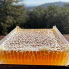 Honey by the Bay