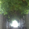 Creative Concepts Landscape Management gallery