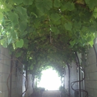 Creative Concepts Landscape Management