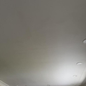 Gallery Image Number 5