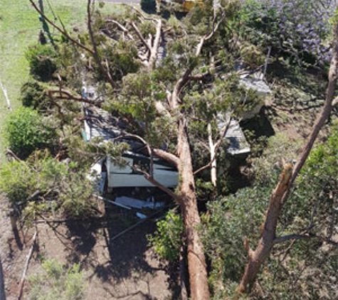 Kingaroy Tree Services - Taabinga, QLD