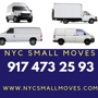 NYC mini MOVES