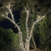 Elegant Outdoor Lights gallery