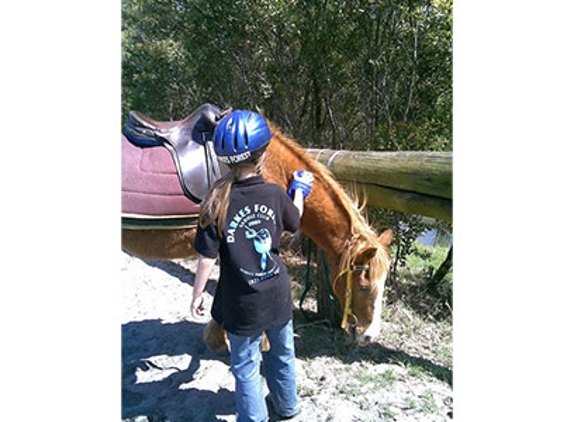Darkes Forest Riding Ranch - Darkes Forest, NSW