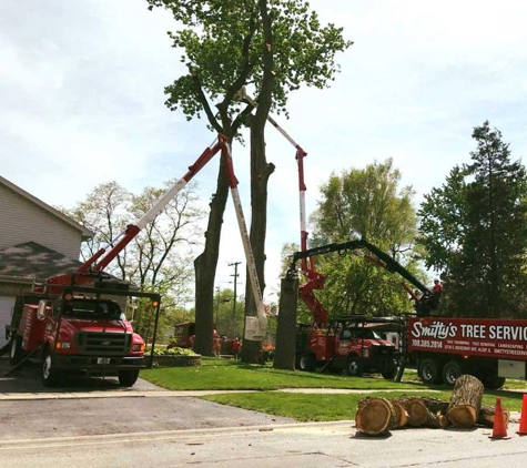 Smitty's Tree Service Inc. - Alsip, IL