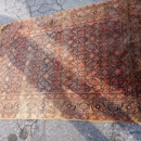 Tulip Carpet Cleaning of Arlington - Upholstery Cleaners