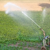 Gallery Image Number 3