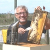 Bee Removal Beekeepers gallery