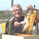 Bee Removal Beekeepers - Bee Control & Removal Service
