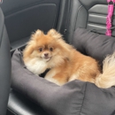 Fon Jon Pet Care Center - Pet Boarding & Kennels