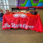 Dana Liebig - State Farm Insurance Agent