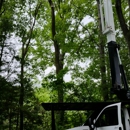 No.Andover Carl Tree Service - Crane Service