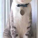 Veterinary Urgent and Wellcare Center - Veterinarians