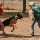 HUNDEAUSBILDUNG The School for Dogs - Dog Training